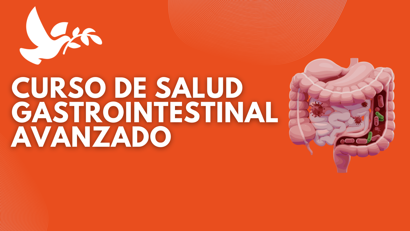 Salud Gastrointestinal Avanzada
