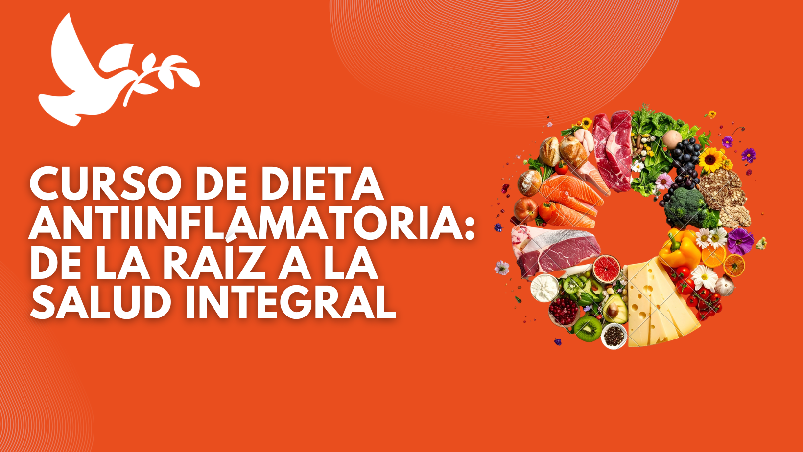 Dieta antiinflamatoria: De la raíz a la salud integral